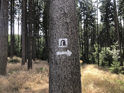 icon auf baum mit pfeil franzosenhöhle