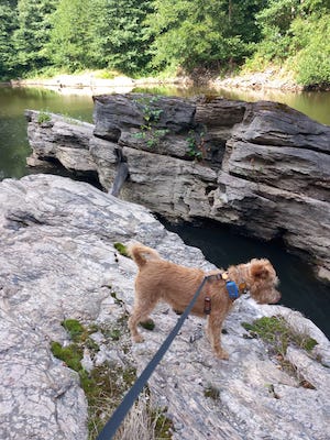 marmorbruch in tanna mit hund