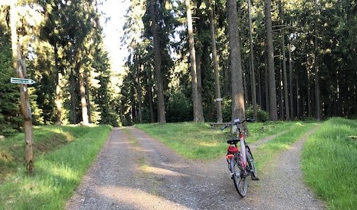 Mit dem Pedelec zum Rosenbühl
