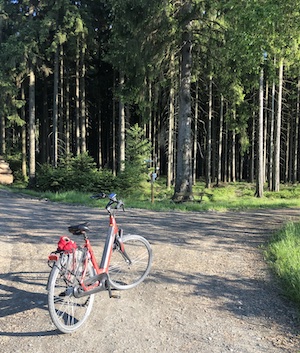 Mit dem Pedelec zum Rosenbühl