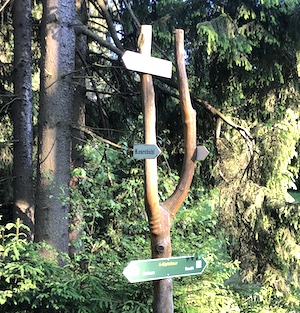 Wegweiser zum Rosenbühl