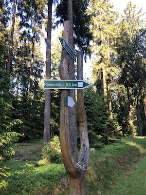 Wegweiser letzte Etappe zum Rosenbühl