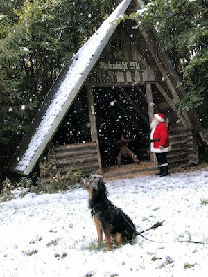 geheimnis, rosenbuehl, weihnachtsmaerchen