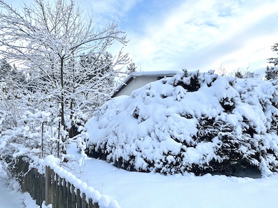 Thüringer Vogtland, Tiny House Thüringen, Urlaub im Wald Vogtland, sichtschutz hecke, garten eingezäunt, schnee