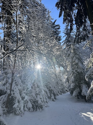 #TinyHouse #WinterUrlaub #Waldliebe #Auszeit #Skiing #Wandern #KraftTanken #WinterTime #NaturPur