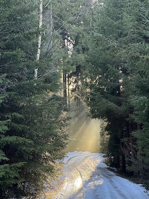 #TinyHouse #WinterUrlaub #Waldliebe #Auszeit #Wandern #KraftTanken #WinterTime #NaturPur #sonnenstrahlen