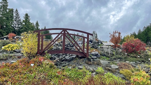 miniatur, vogtland, hunde erlaubt