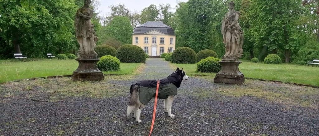 Wandern mit Hund am Schloss Burgk Saale-Orla-Kreis Thüringen, pavillon sophienlust, park, schloss burgk